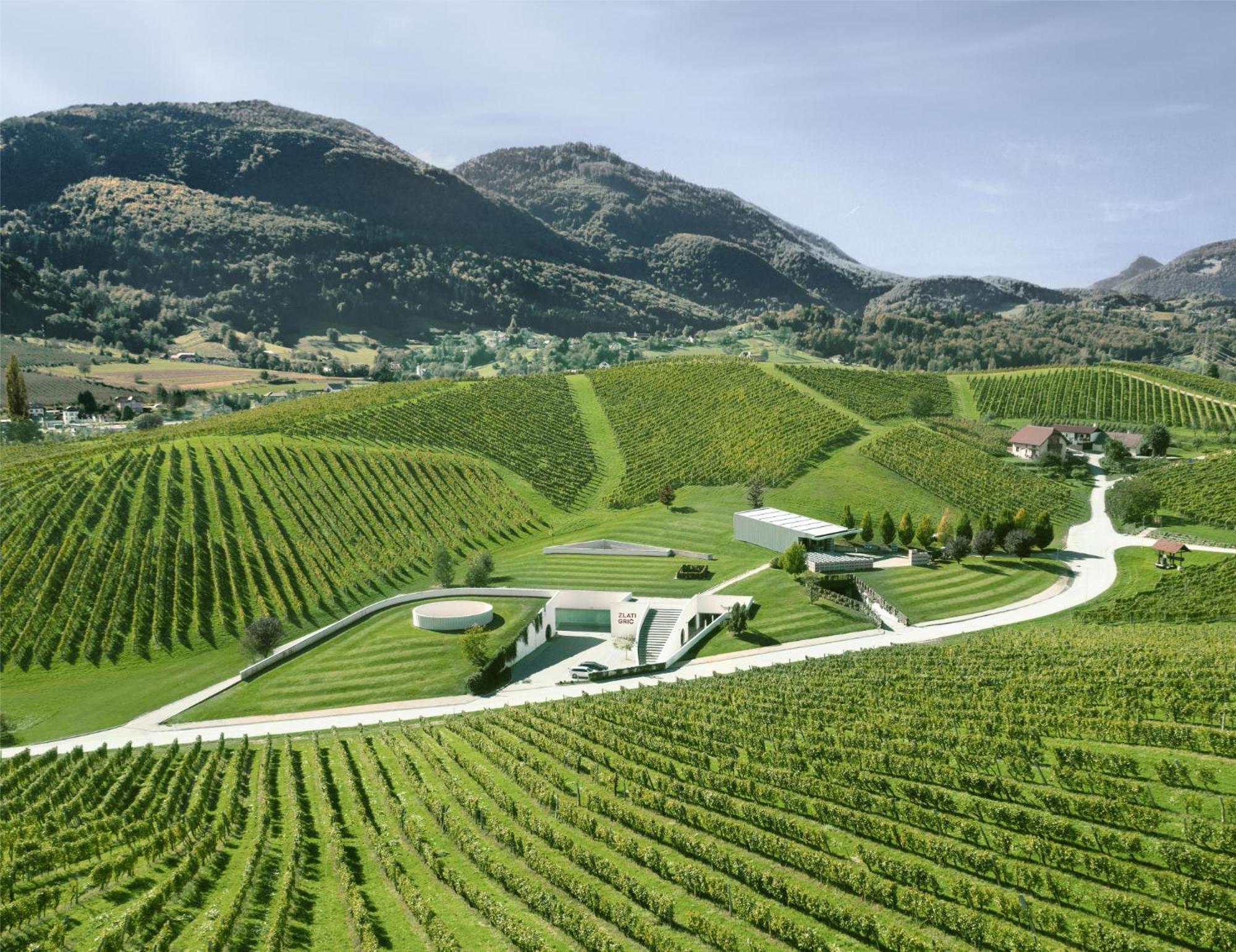 Wine Grower'S Mansion Zlati Gric Apartamento Slovenske Konjice Exterior foto